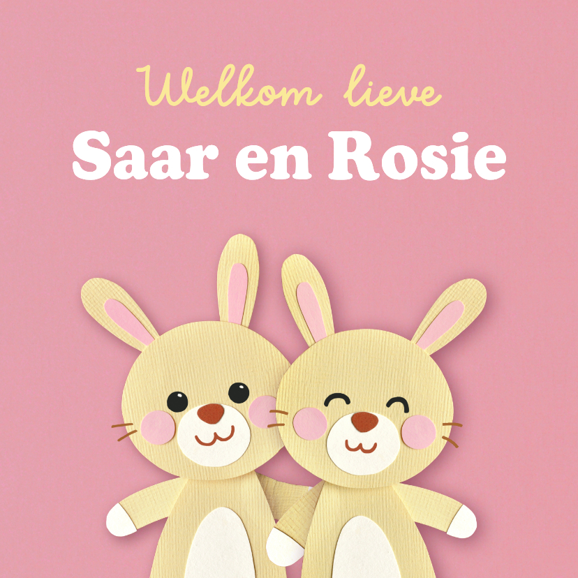 Felicitatiekaarten - Felicitatiekaart geboorte tweeling konijntjes