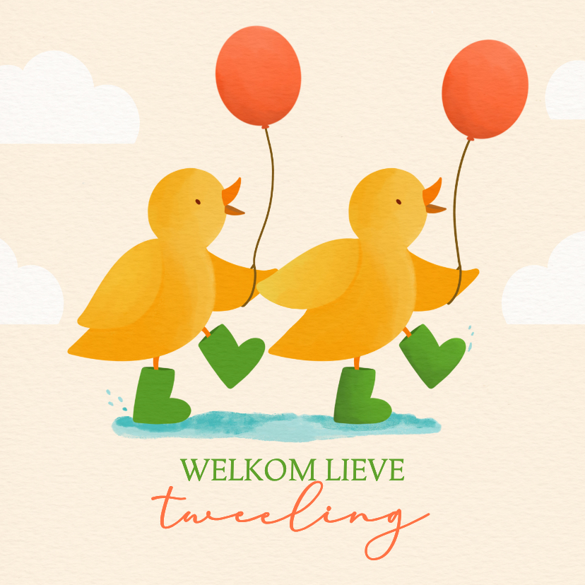 Felicitatiekaarten - Felicitatiekaart geboorte tweeling met kuikens
