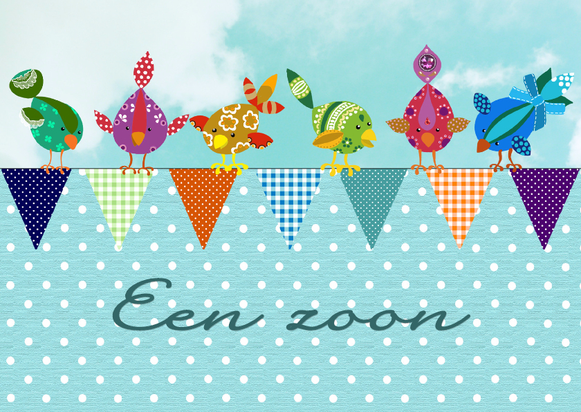 Felicitatiekaart geboorte zoon vogel - Felicitatiekaarten Felicitatiekaarten - Felicitatiekaart geboorte zoon vogel