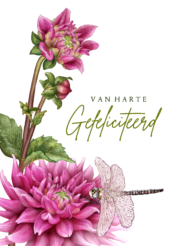 Felicitatiekaarten - Felicitatiekaart, geschikt voor allerlei felicitaties!