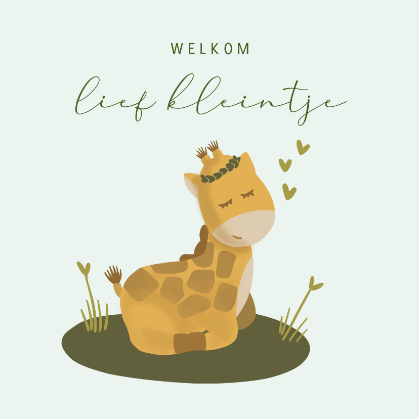 Felicitatiekaarten - Felicitatiekaart giraffe geboorte baby
