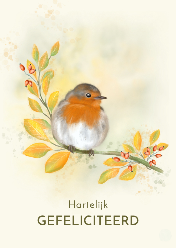 Felicitatiekaarten - Felicitatiekaart herfstimpressie met roodborst