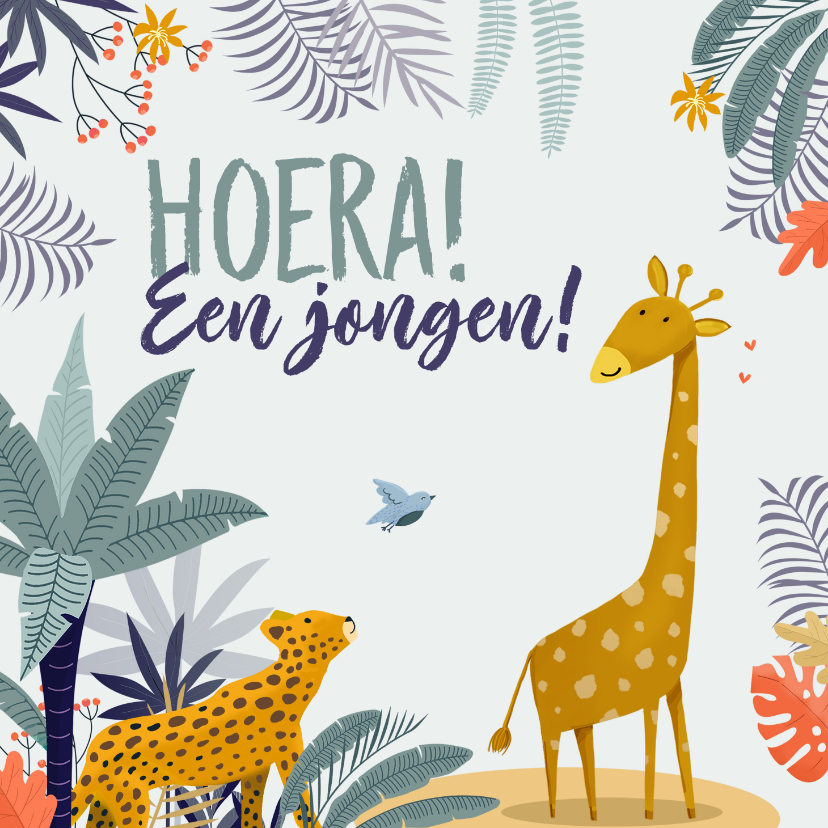 Felicitatiekaarten - Felicitatiekaart jungle jongen