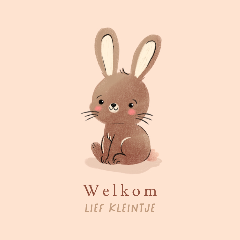 Felicitatiekaart kindje geboren lief bruin konijntje - Felicitatiekaarten Felicitatiekaarten - Felicitatiekaart kindje geboren lief bruin konijntje