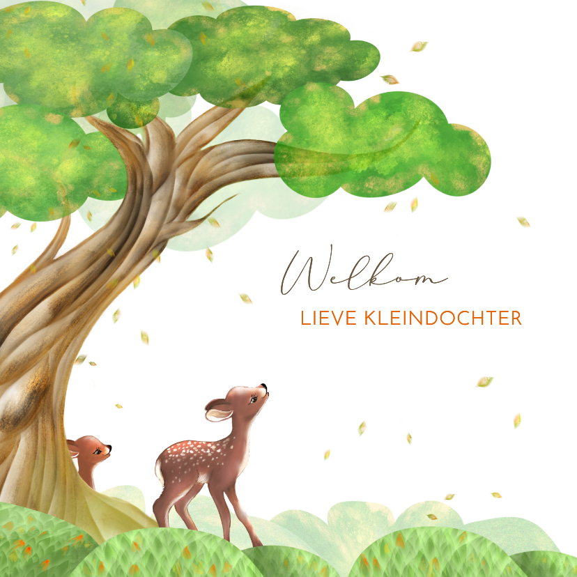 Felicitatiekaart kleinkind met hertjes - Felicitatiekaarten Felicitatiekaarten - Felicitatiekaart kleinkind met hertjes