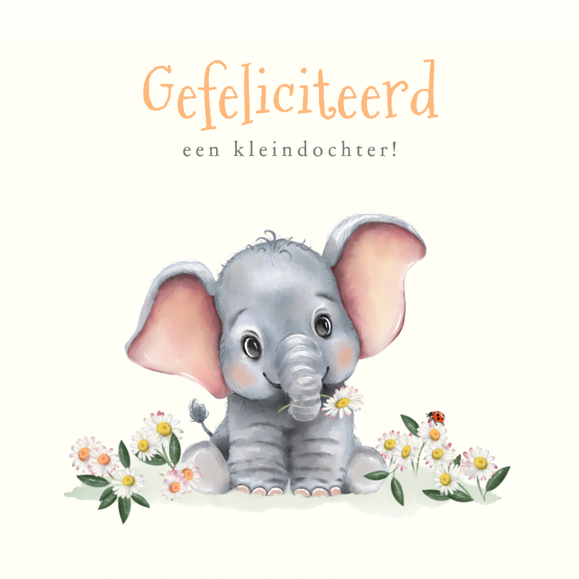 Felicitatiekaarten - Felicitatiekaart kleinkind met olifantje