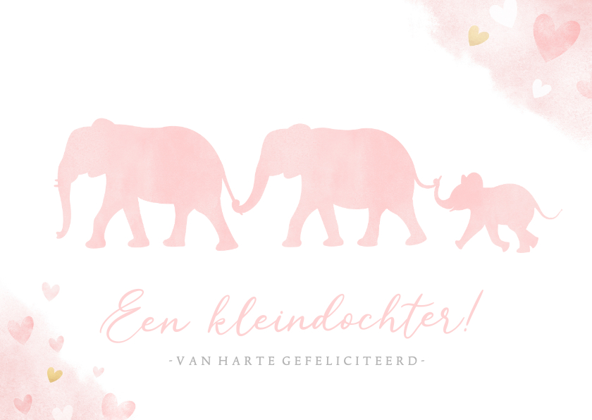 Felicitatiekaarten - Felicitatiekaart kleinkind met silhouet van 3 olifantjes
