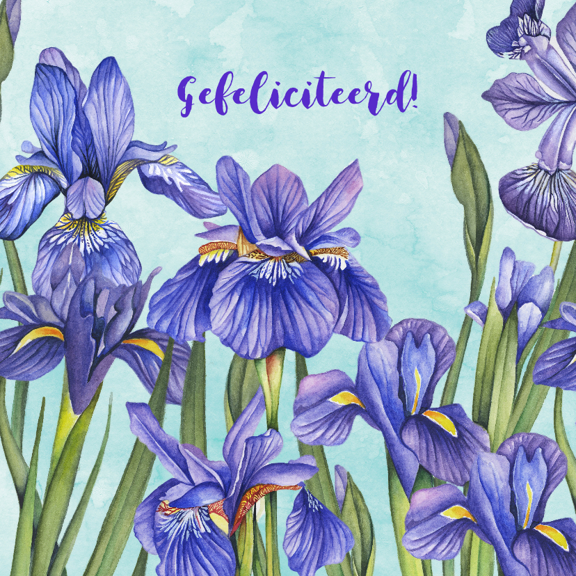 Felicitatiekaart Lisse in aquarel - Felicitatiekaarten Felicitatiekaarten - Felicitatiekaart Lisse in aquarel