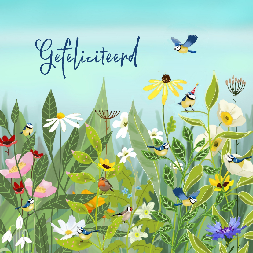 Felicitatiekaart met bloemen en pimpelmeesjes - Felicitatiekaarten Felicitatiekaarten - Felicitatiekaart met bloemen en pimpelmeesjes
