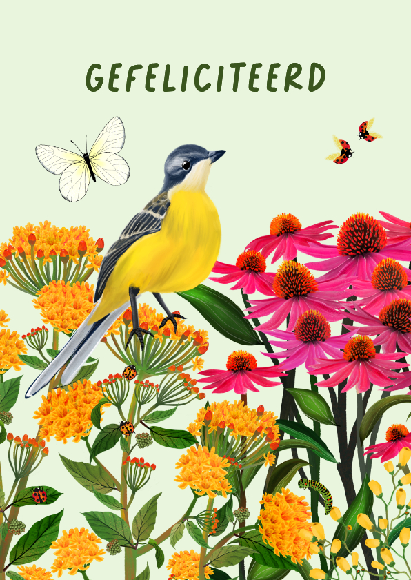 Felicitatiekaart met kwikstaart en vlinder - Felicitatiekaarten Felicitatiekaarten - Felicitatiekaart met kwikstaart en vlinder