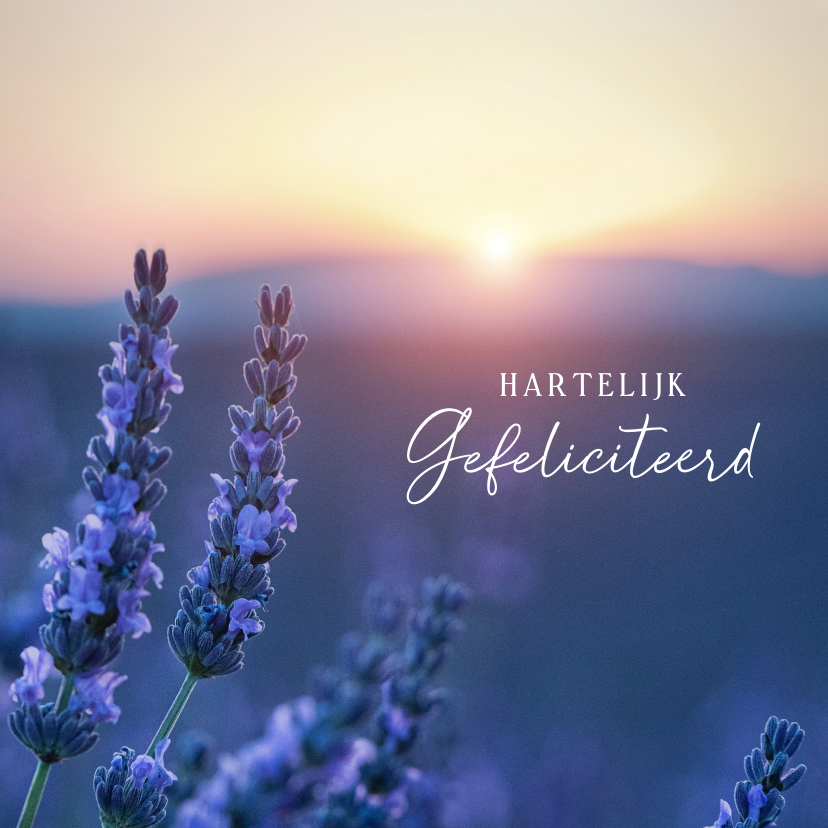 Felicitatiekaarten - Felicitatiekaart met natuurfoto van lavendel veld