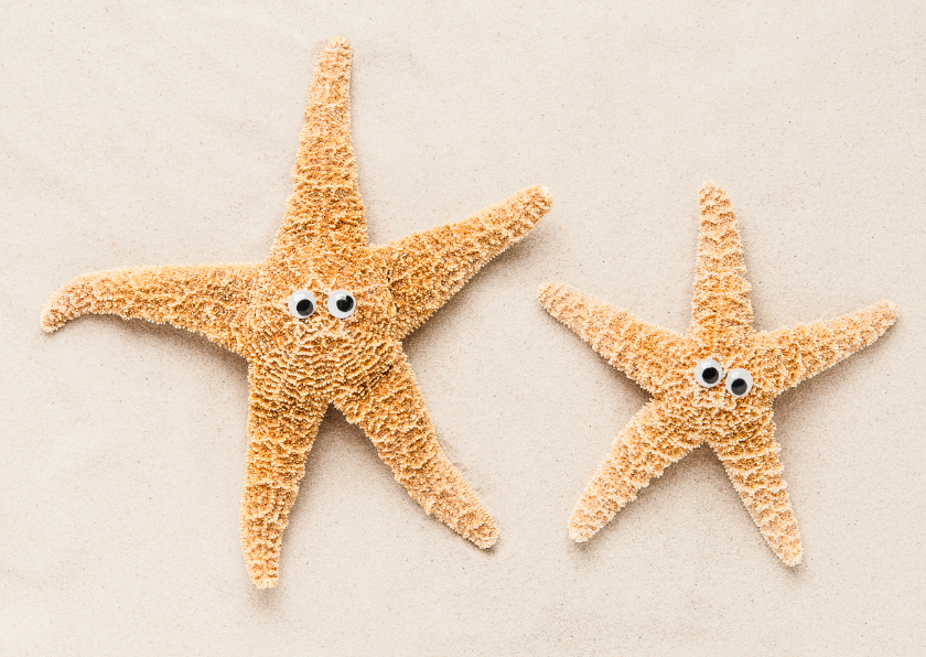Felicitatiekaart met twee zeesterren op het strand - Felicitatiekaarten Felicitatiekaarten - Felicitatiekaart met twee zeesterren op het strand