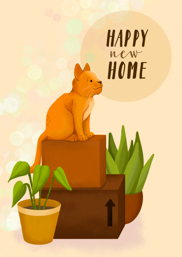 Felicitatiekaart nieuwe woning kat op dozen - Felicitatiekaarten Felicitatiekaarten - Felicitatiekaart nieuwe woning kat op dozen