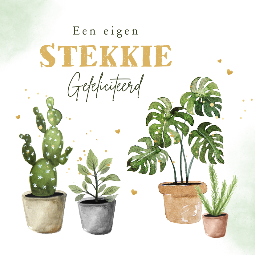 Felicitatiekaarten - Felicitatiekaart nieuwe woning nieuw stekkie planten