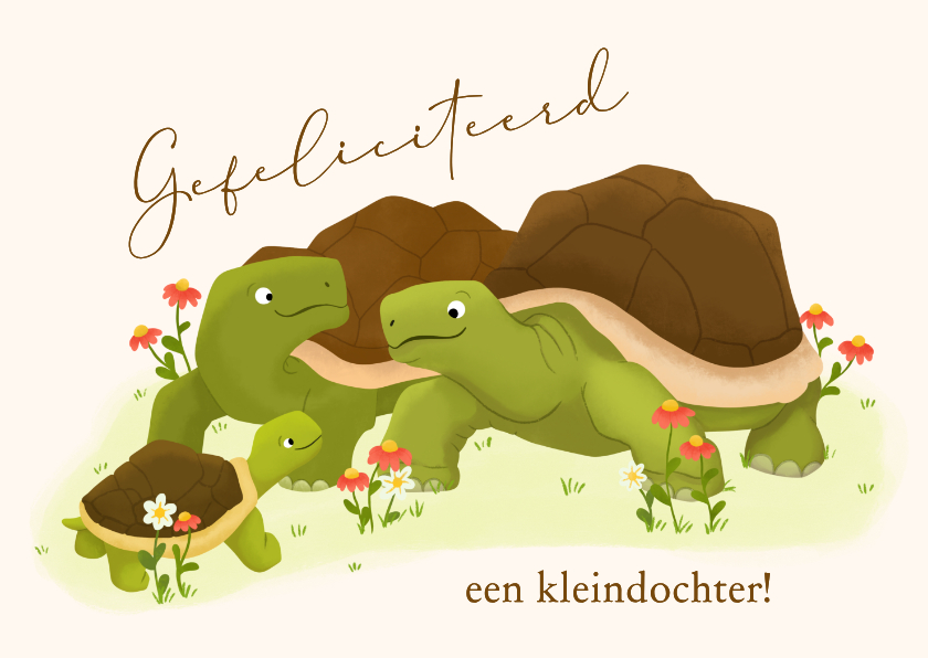 Felicitatiekaarten - Felicitatiekaart oma en opa geworden - schildpadden