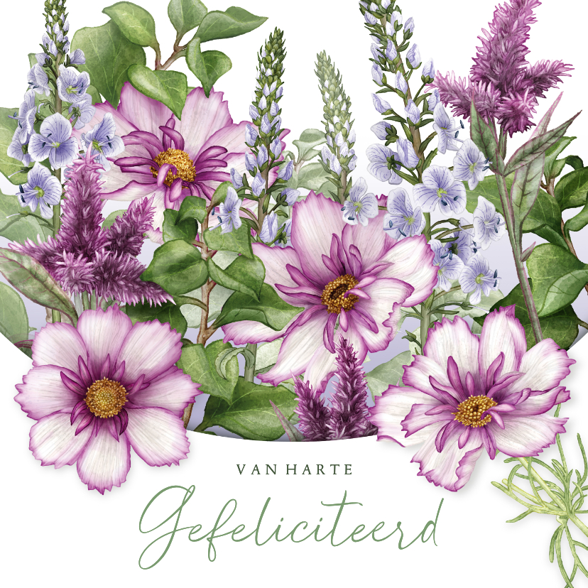 Felicitatiekaart paars blauwe bloemen algemeen - Felicitatiekaarten Felicitatiekaarten - Felicitatiekaart paars blauwe bloemen algemeen