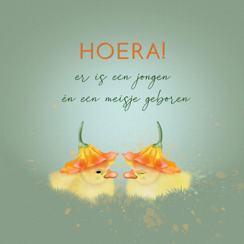 Felicitatiekaarten - Felicitatiekaart tweeling eendjes onder bloemkelk