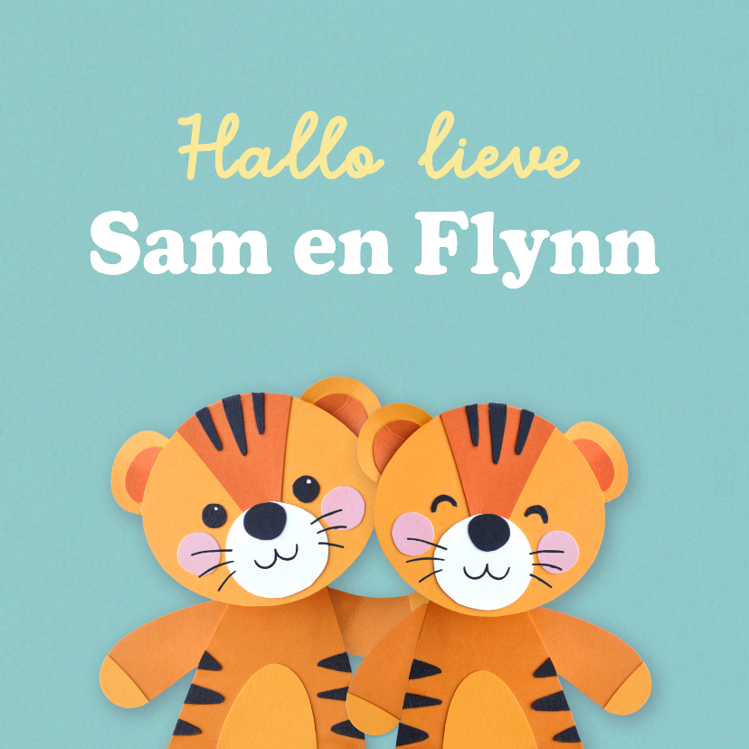 Felicitatiekaarten - Felicitatiekaart tweeling tijgertjes