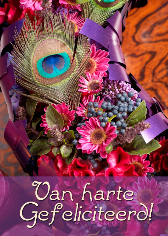 gefeliciteerd mooie vrouw gefeliciteerd mooie vrouw