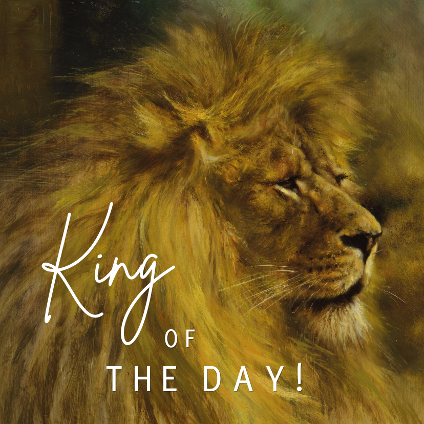Felicitatiekaarten - Felicitatiekaart voor 'the king of the day'