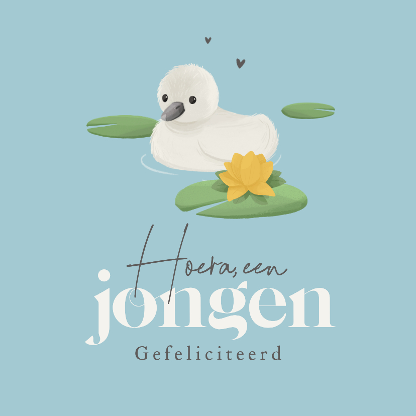 Felicitatiekaarten - Felicitatiekaart zwaan kuiken baby geboren jongen lief