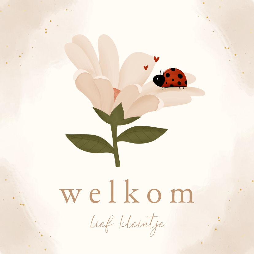 Felicitatiekaartje bloem en lieveheersbeestje geboorte - Felicitatiekaarten Felicitatiekaarten - Felicitatiekaartje bloem en lieveheersbeestje geboorte