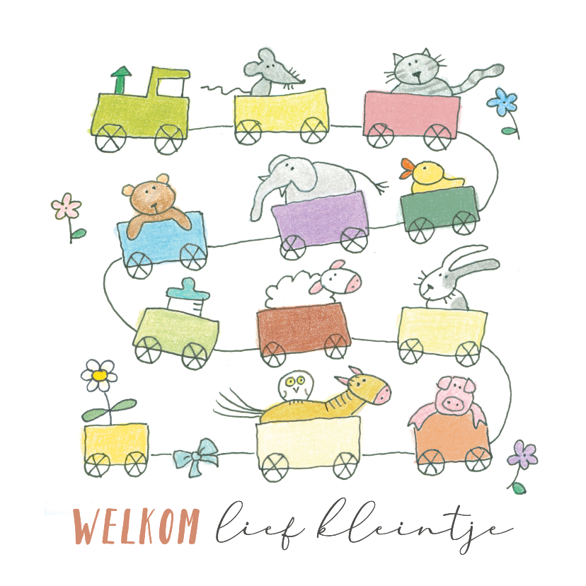 Felicitatiekaartje geboorte een trein met dieren - Felicitatiekaarten Felicitatiekaarten - Felicitatiekaartje geboorte een trein met dieren