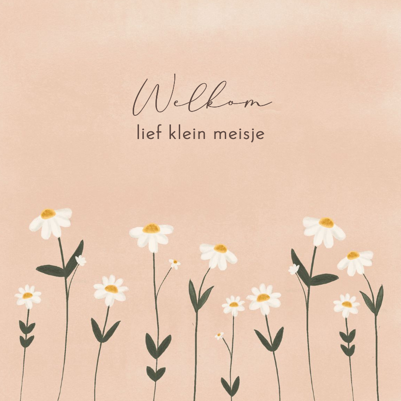 Felicitatiekaarten - Felicitatiekaartje geboorte meisje madelief
