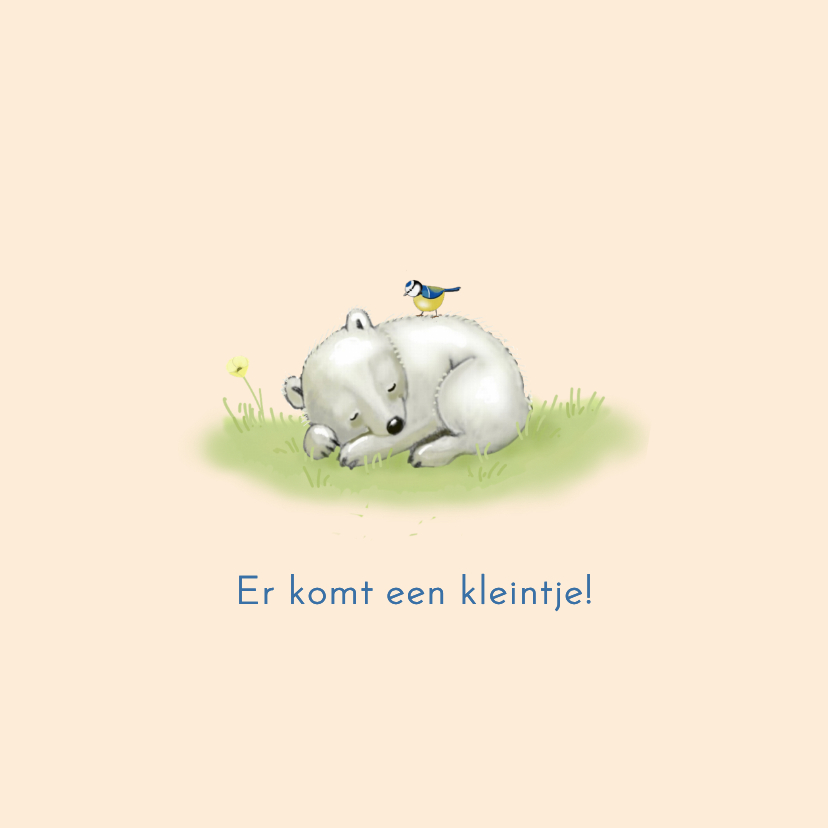 Felicitatiekaarten - Felicitatiekaartje ijsbeertje met pimpelmees