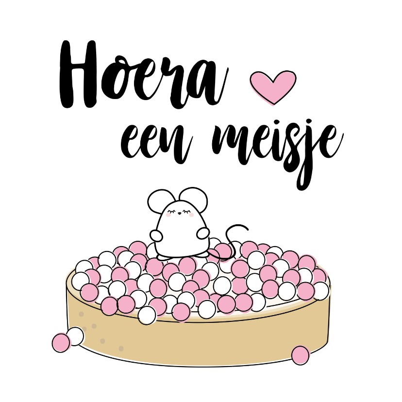 Felicitatiekaarten - Felicitiekaart roze muisjes