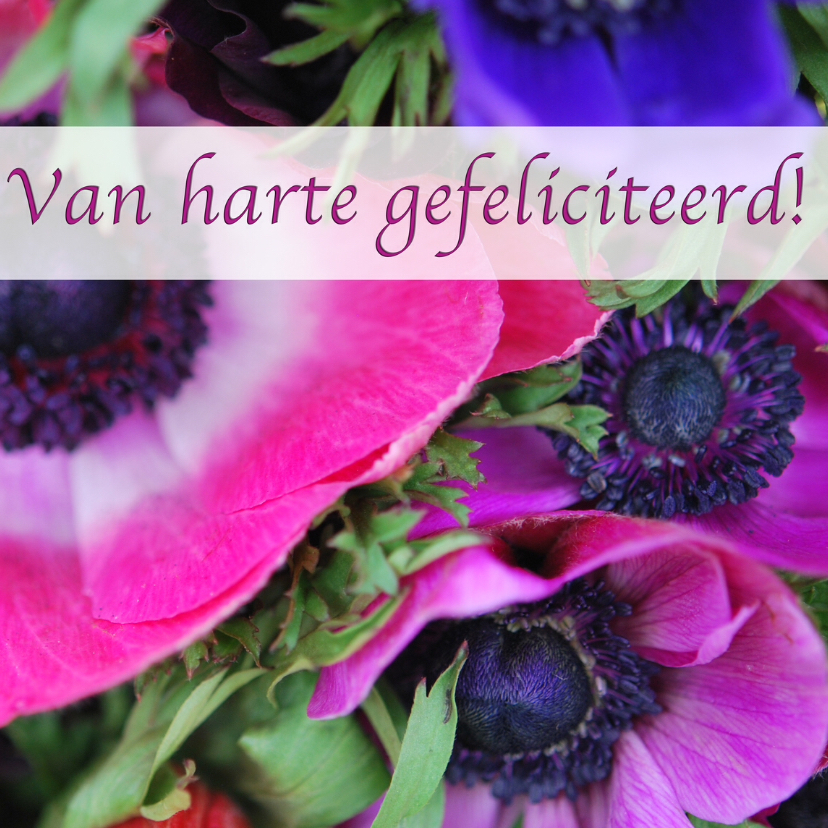 Fotokaart bijzondere bloemen - Felicitatiekaarten Felicitatiekaarten - Fotokaart bijzondere bloemen