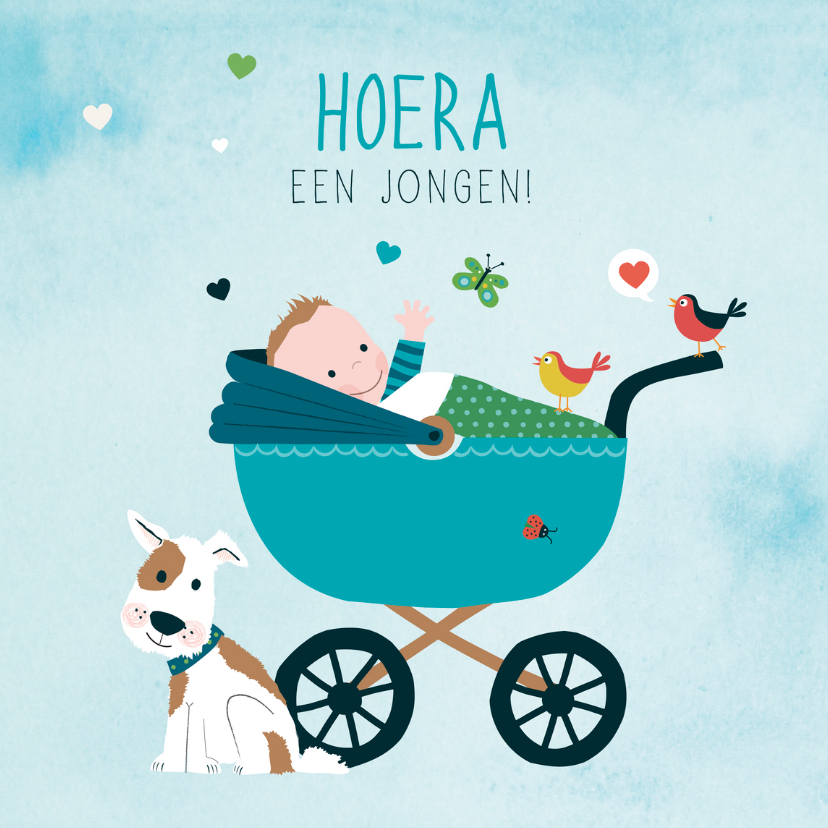 Geboorte felicitatie wieg jongen - Felicitatiekaarten Felicitatiekaarten - Geboorte felicitatie wieg jongen