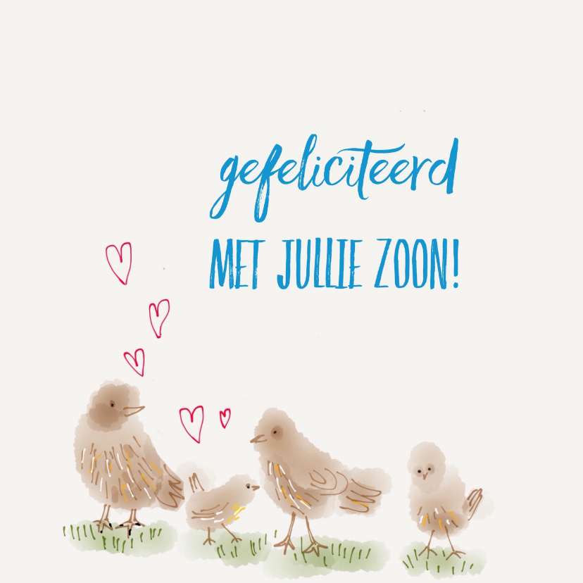 Geboorte Jongen Vier Vogeltjes - Felicitatiekaarten Felicitatiekaarten - Geboorte Jongen Vier Vogeltjes