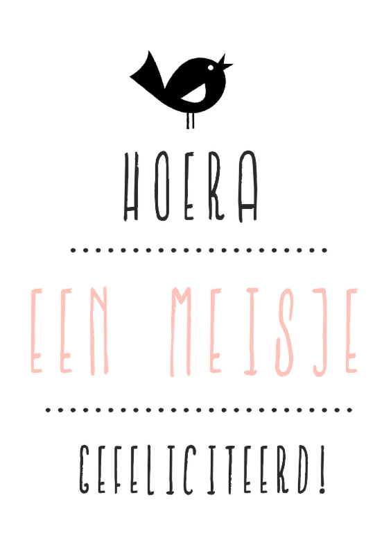 Geboorte Meisje Vogel Hip - Felicitatiekaarten Felicitatiekaarten - Geboorte Meisje Vogel Hip
