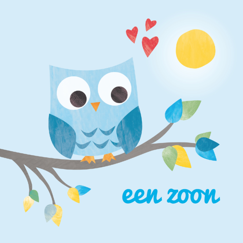 Felicitatiekaarten - Geboorte zoon - blauw uiltje