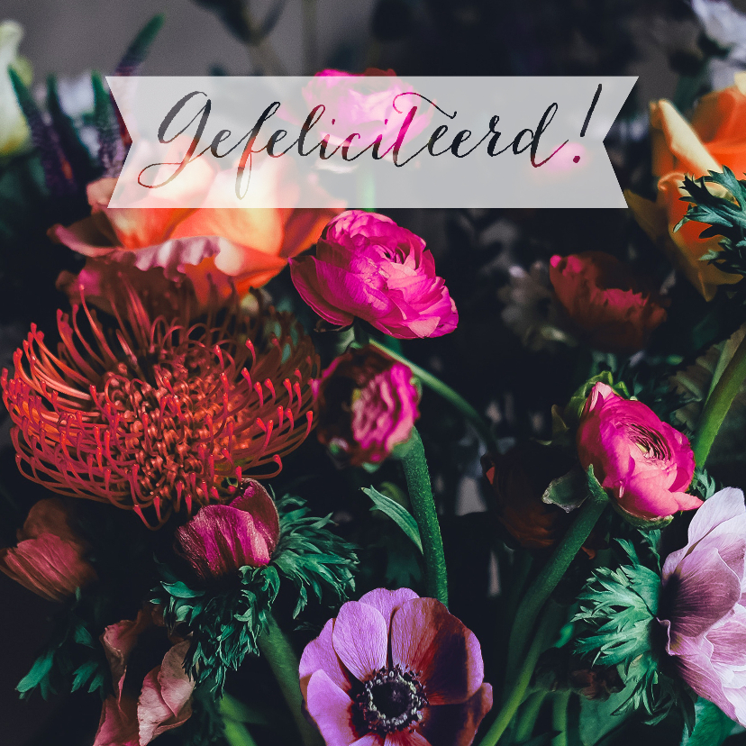 Gefeliciteerd bloemen paars oranje roze - Felicitatiekaarten Felicitatiekaarten - Gefeliciteerd bloemen paars oranje roze