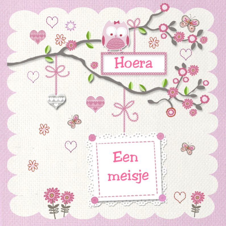 gefeliciteerd geboorte meisje uiltje tak - Felicitatiekaarten Felicitatiekaarten - gefeliciteerd geboorte meisje uiltje tak