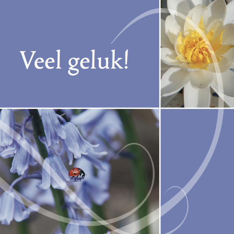 Gelukskaart - Felicitatiekaarten Felicitatiekaarten - Gelukskaart