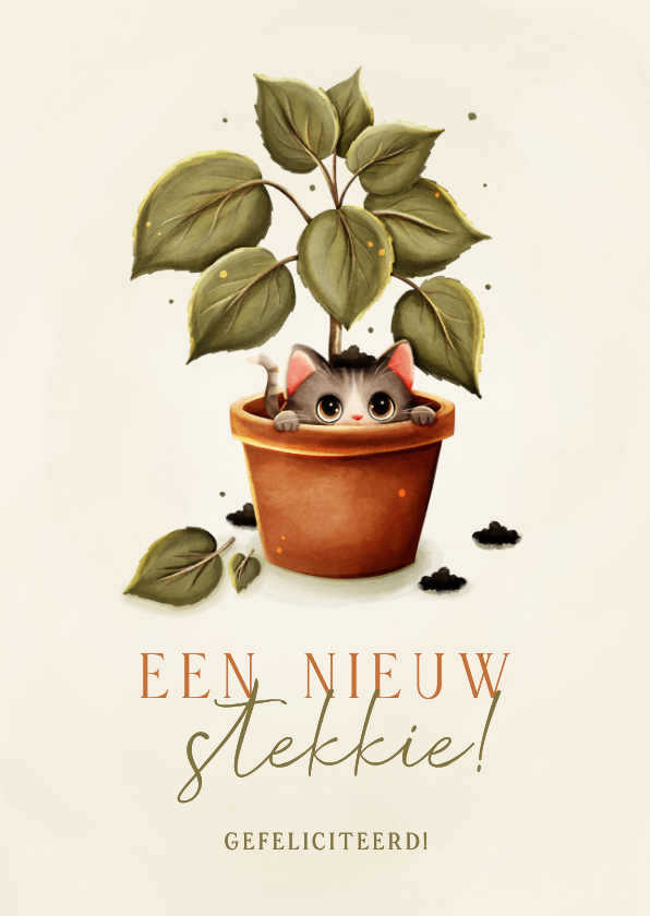 Grappig felicitatiekaartje nieuw stekkie kat in plant - Felicitatiekaarten Felicitatiekaarten - Grappig felicitatiekaartje nieuw stekkie kat in plant