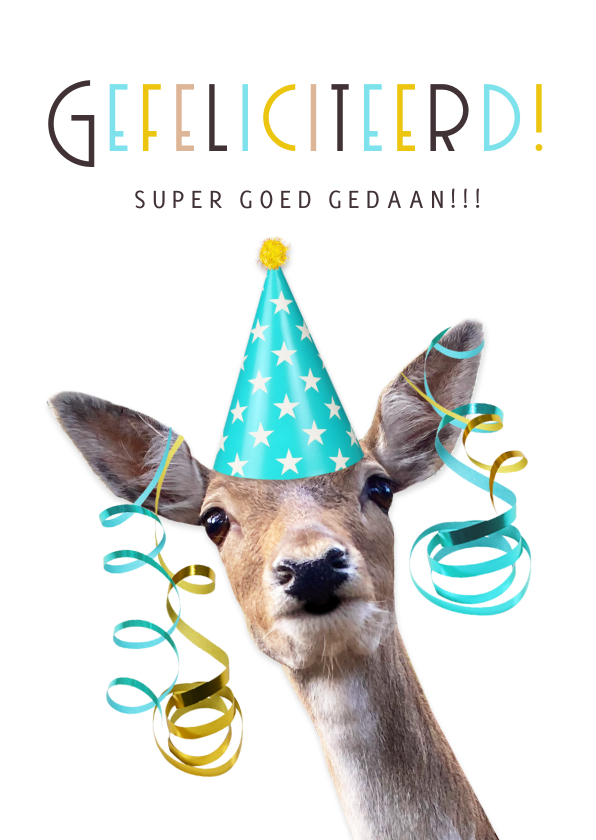 Felicitatiekaarten - Grappige felicitatiekaart met giraffe met feesthoedje op