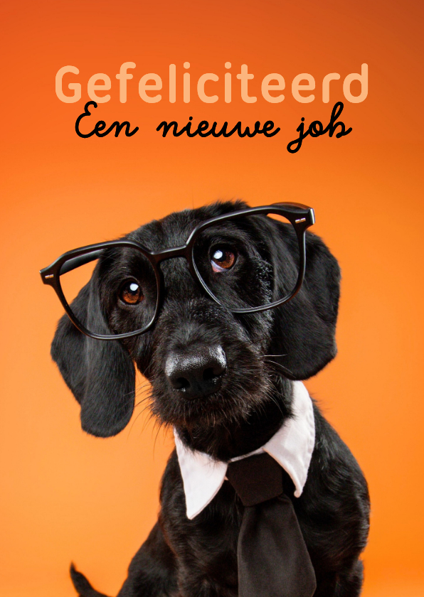 Grappige felicitatiekaart van hond met stropdas en bril - Felicitatiekaarten Felicitatiekaarten - Grappige felicitatiekaart van hond met stropdas en bril