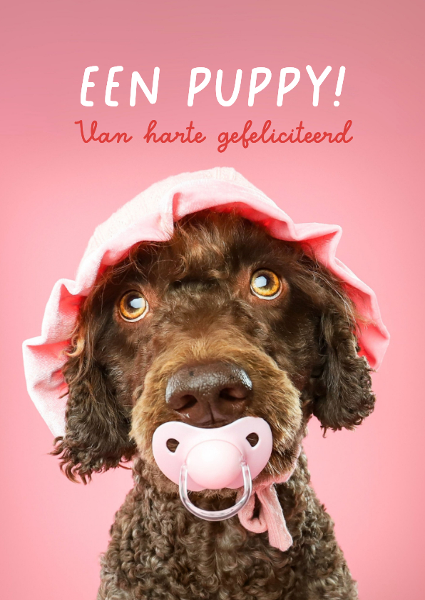 Felicitatiekaarten - Grappige kaart voor het welkom heten van een puppy teefje