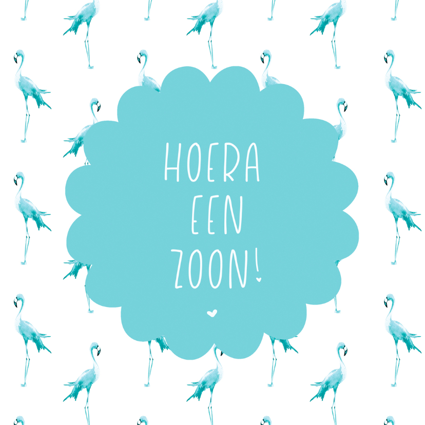 Hoera een zoon met flamingo's - Felicitatiekaarten Felicitatiekaarten - Hoera een zoon met flamingo's