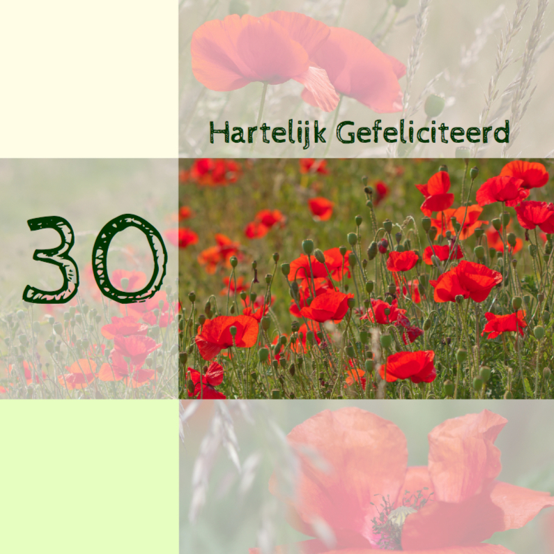 Klaprozen met vakken - Felicitatiekaarten Felicitatiekaarten - Klaprozen met vakken