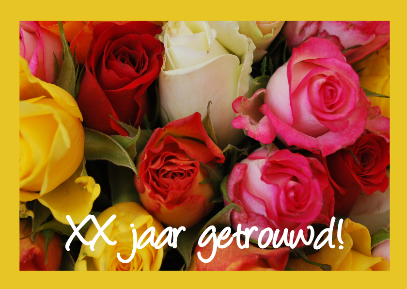 Kleurrijke rozen felicitatie - Felicitatiekaarten Felicitatiekaarten - Kleurrijke rozen felicitatie