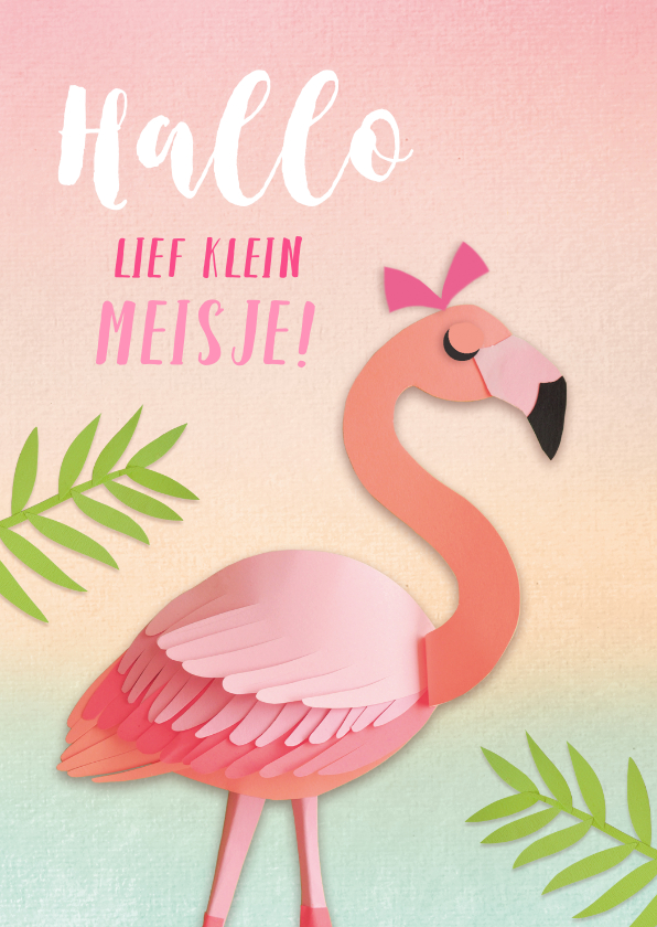 Lief klein meisje flamingo - Felicitatiekaarten Felicitatiekaarten - Lief klein meisje flamingo