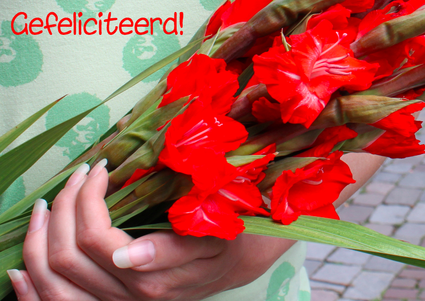 Nijmeegse vierdaagse kaart met gladiolen - Felicitatiekaarten Felicitatiekaarten - Nijmeegse vierdaagse kaart met gladiolen