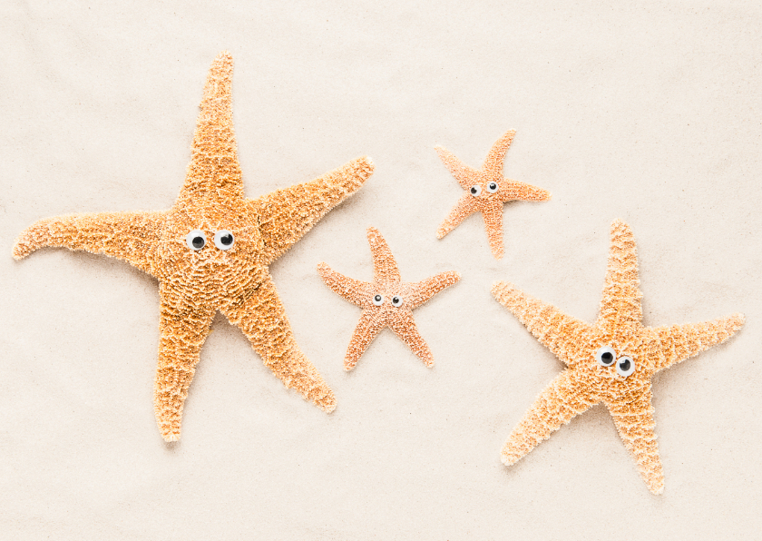 Felicitatiekaarten - Ouders en kindjes - zeesterren op strand