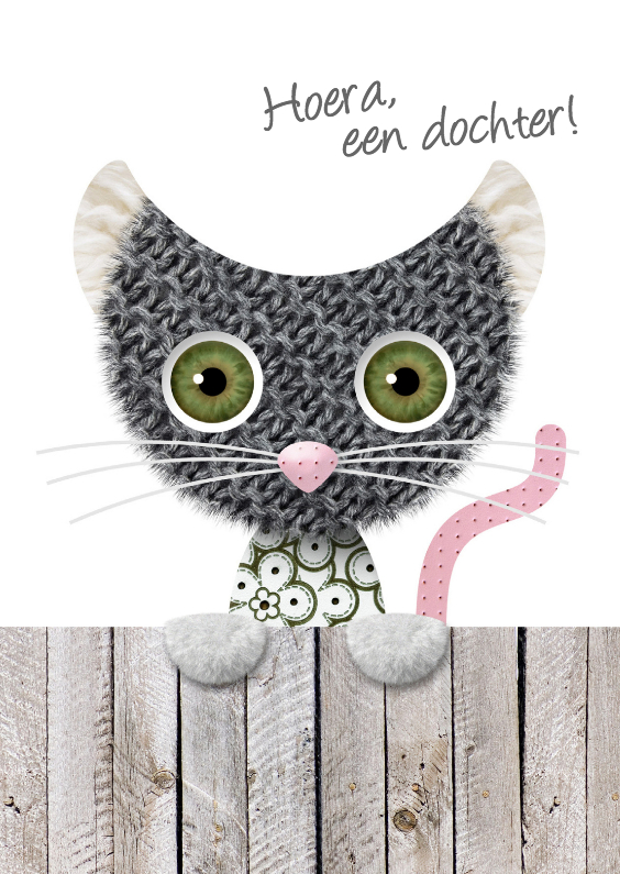 Poesje op een schutting - Felicitatiekaarten Felicitatiekaarten - Poesje op een schutting