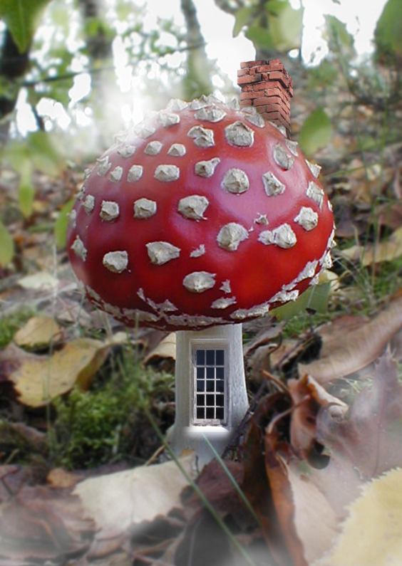 Rood met witte stippen kaart - Felicitatiekaarten Felicitatiekaarten - Rood met witte stippen kaart